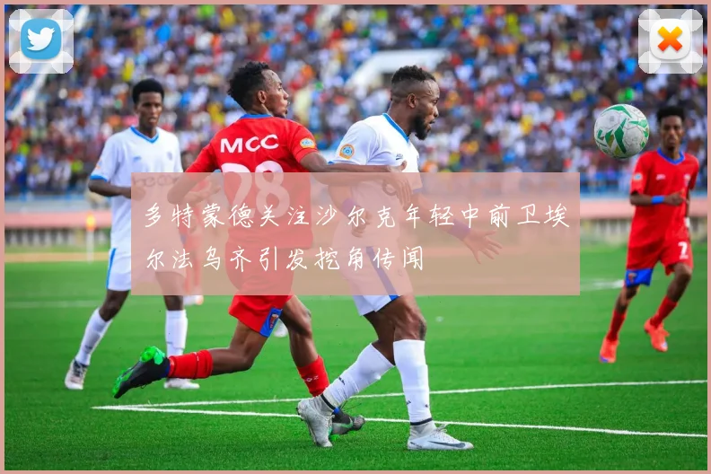 多特蒙德关注沙尔克年轻中前卫埃尔法乌齐引发挖角传闻