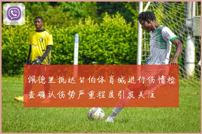 佩德里抵达甘伯体育城进行伤情检查确认伤势严重程度引发关注
