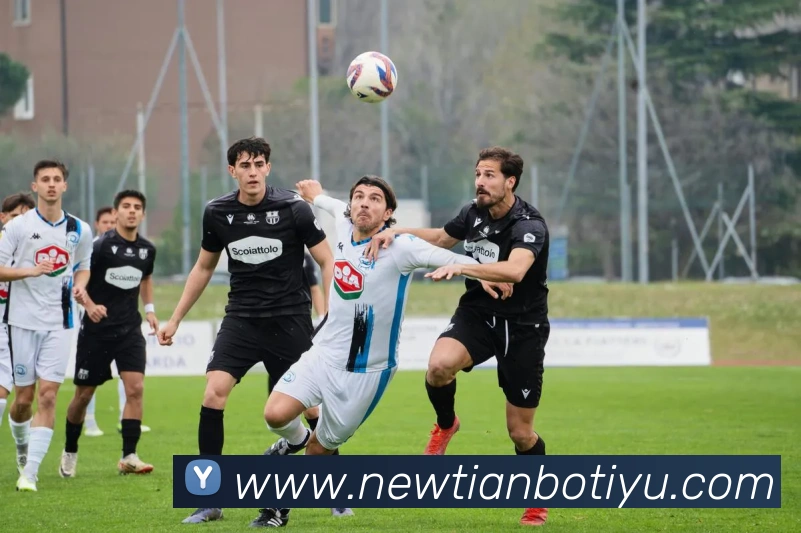 天博体育平台生态图